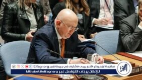نيبينزيا: روسيا تنسق مع الولايات المتحدة بشأن القضية السورية