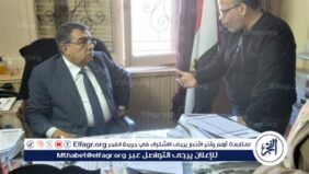 محافظ الدقهلية في جولة تفتيشية منفردا برئاسة مركز ومدينة المطرية