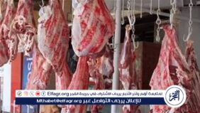 أسعار اللحوم الجملي والضاني اليوم الثلاثاء 11-3-2024 في الأسواق ومحال الجزارة بقنا
