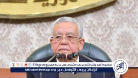 النواب  يحيل تعديلات قانوني الشرطة والكهرباء للجان النوعية