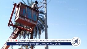تركيب كشافات جديدة لرفع كفاءة منظومة الإنارة بمركز أبوتيج فى أسيوط