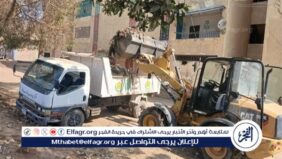 رفع 86 طن من المخلفات بقرى مركز صدفا بأسيوط