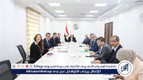 وزير التعليم العالي يبحث تعزيز التعاون مع السفير الفرنسي في مصر