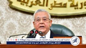 بدء جلسة  النواب  لاستكمال مناقشة مشروع قانون العمل الجديد
