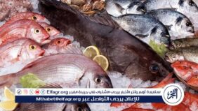 أسعار السمك البلطي والبوري اليوم الاربعاء 12-3-2024 في محافظة قنا