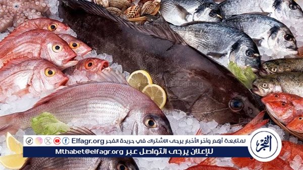 أسعار السمك البلطي والبوري اليوم الثلاثاء 11-3-2024 في محافظة قنا