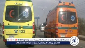 إصابة 11 شخصًا في انقلاب ميكروباص بطريق الفيوم