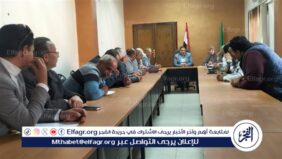 إطلاق مشروع خط الغاز بمحافظة الفيوم ضمن مبادرة  حياة كريمة