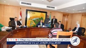محافظ الفيوم يوجه بتوفير مشروعات تنموية وفرص عمل وتراخيص أكشاك للأولى بالرعاية