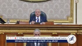 عاجل- مجلس النواب يقر مواد تنظيم أوضاع العمالة غير المنتظمة ( تفاصيل)