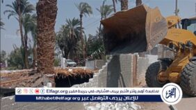 إزالة 20 حالة تعدي على أراضي زراعية وأملاك دولة بمركزي أسيوط وصدفا