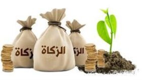 هل يجوز إخراج زكاة الفطر في العشر الأواخر من رمضان؟